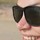laura_hoff5141910