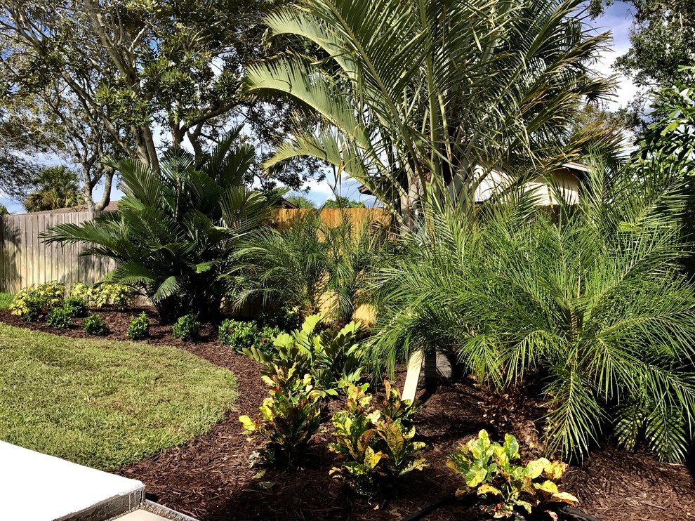 Photo of a mid-sized tropical partial sun backyard mulch formal garden in Orlando for summer.