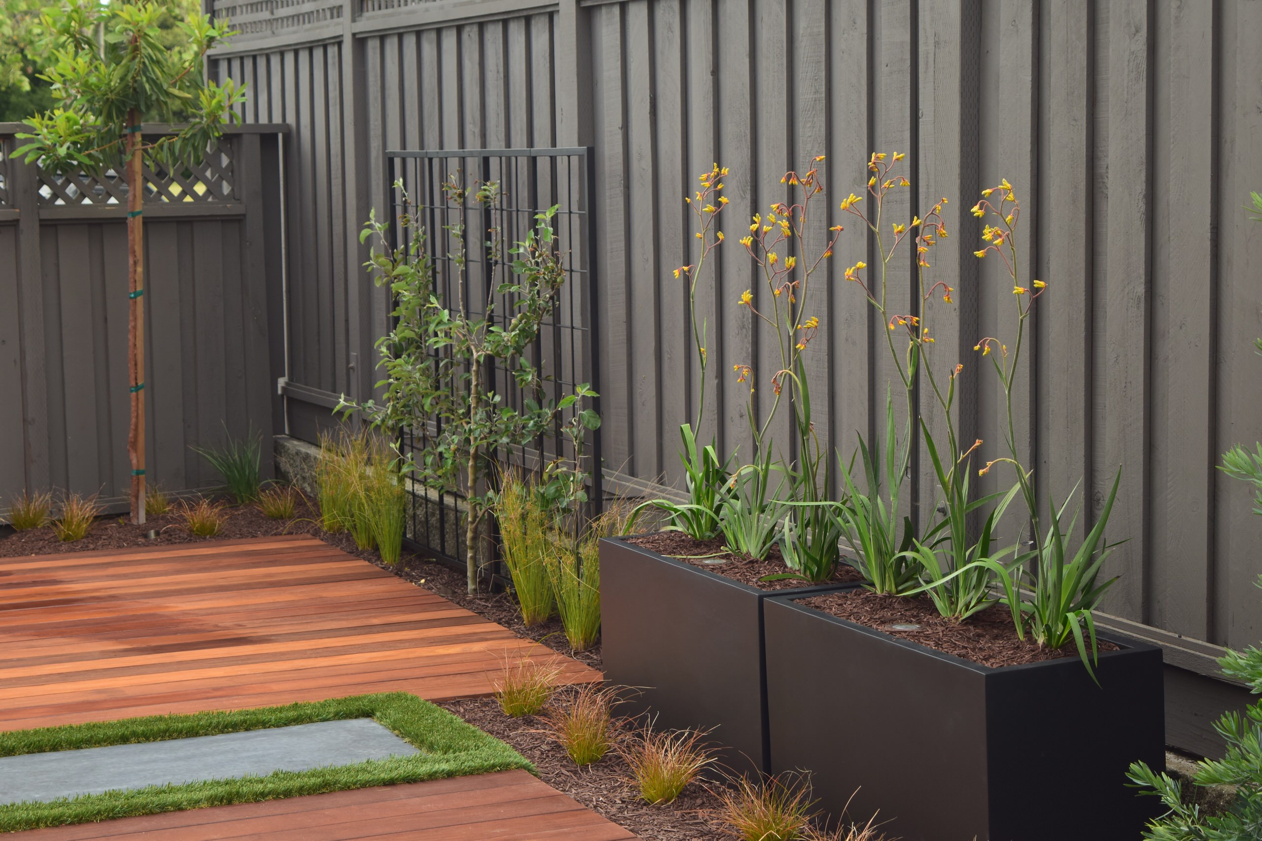 More of our projects