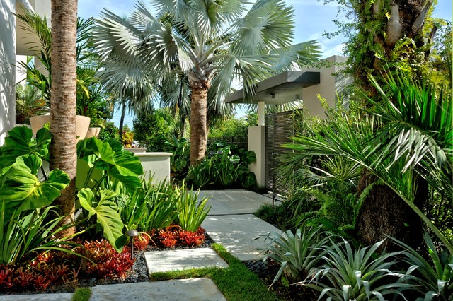 Jones Residence - Tropical - Landscape - Miami - by Craig Reynolds Landscape Architecture on Tropical Landscape Architecture
 id=92216