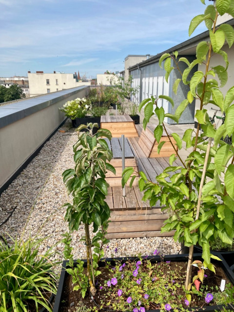 Sitzelemente und Pflanzk&uuml;bel auf einer Gemeinschaftsdachterrasse deck