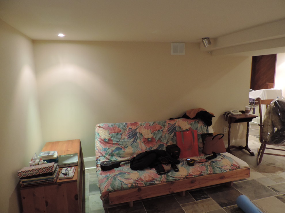 Transitional basement photo in Toronto