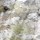 Homesolutionscr