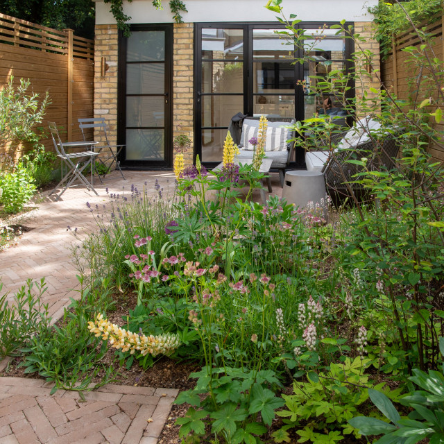 Fulham courtyard contemporary-traedgaard