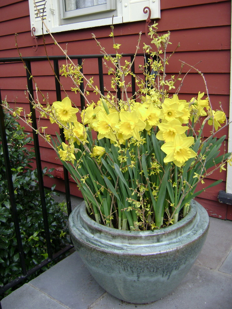 Photo of a small traditional partial sun front yard landscaping in Boston for spring.