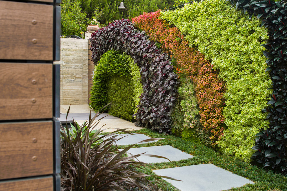 Photo of a mid-sized modern front yard partial sun formal garden in Orange County with a vertical garden and concrete pavers.