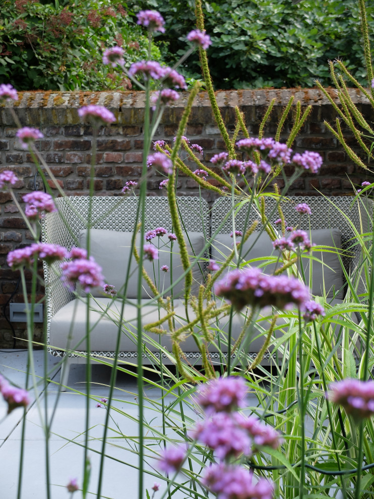 Garten im Sommer, neben dem Haus mit Blumenbeet, Betonboden und Steinzaun in Bonn