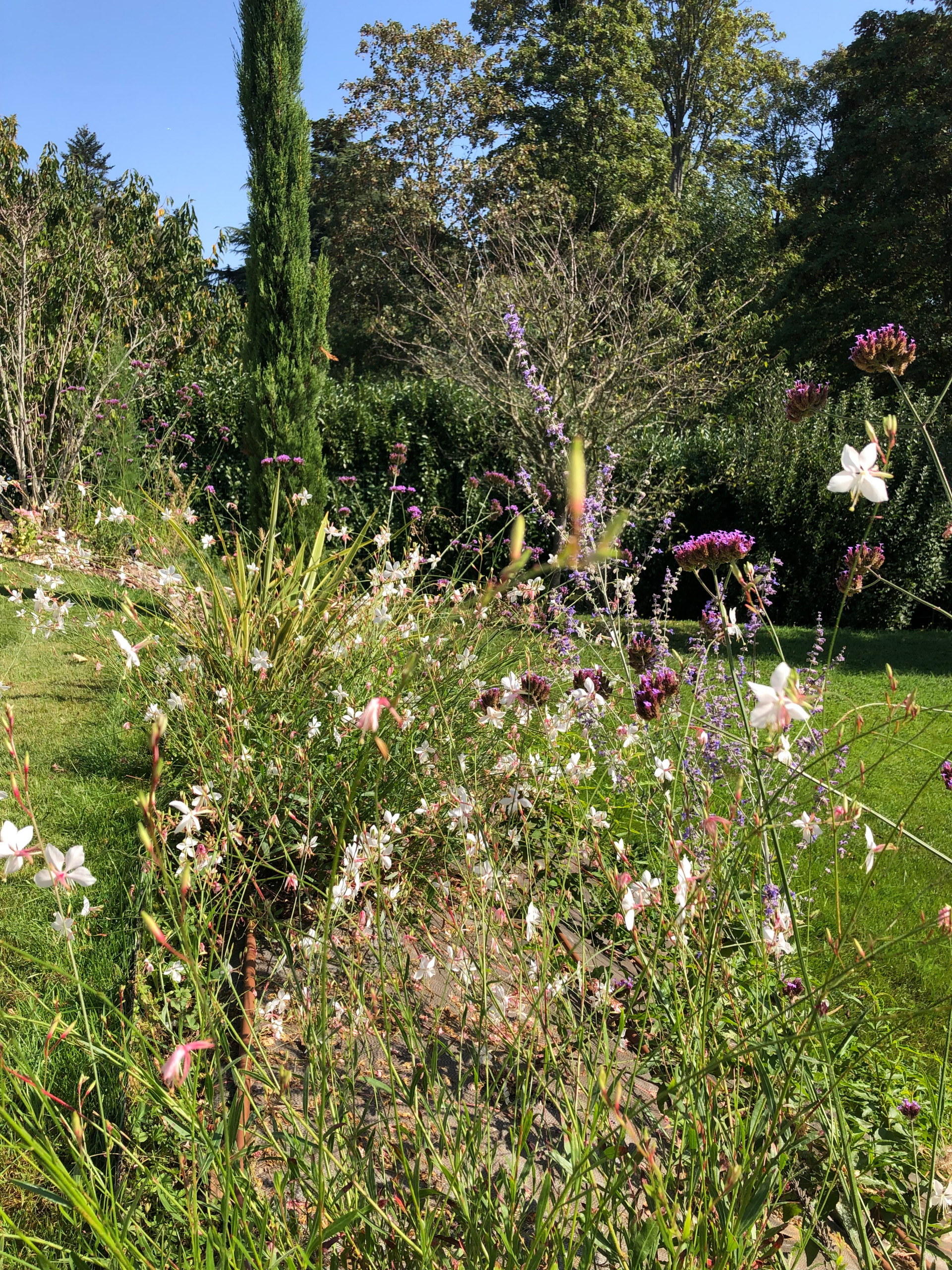 Création d'un grand jardin avec piscine