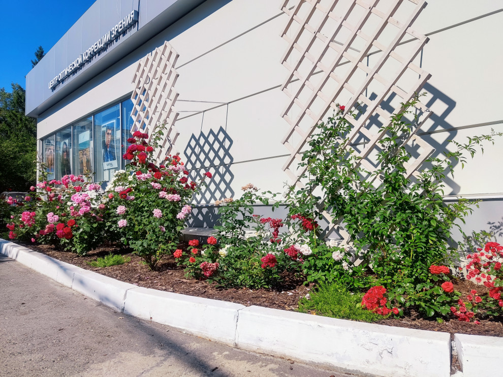 МИКРОХИРУРГИЯ ГЛАЗА ИМ. АКАДЕМИКА С. Н. ФЕДОРОВА, ЧЕБОКСАРСКИЙ ФИЛИАЛ