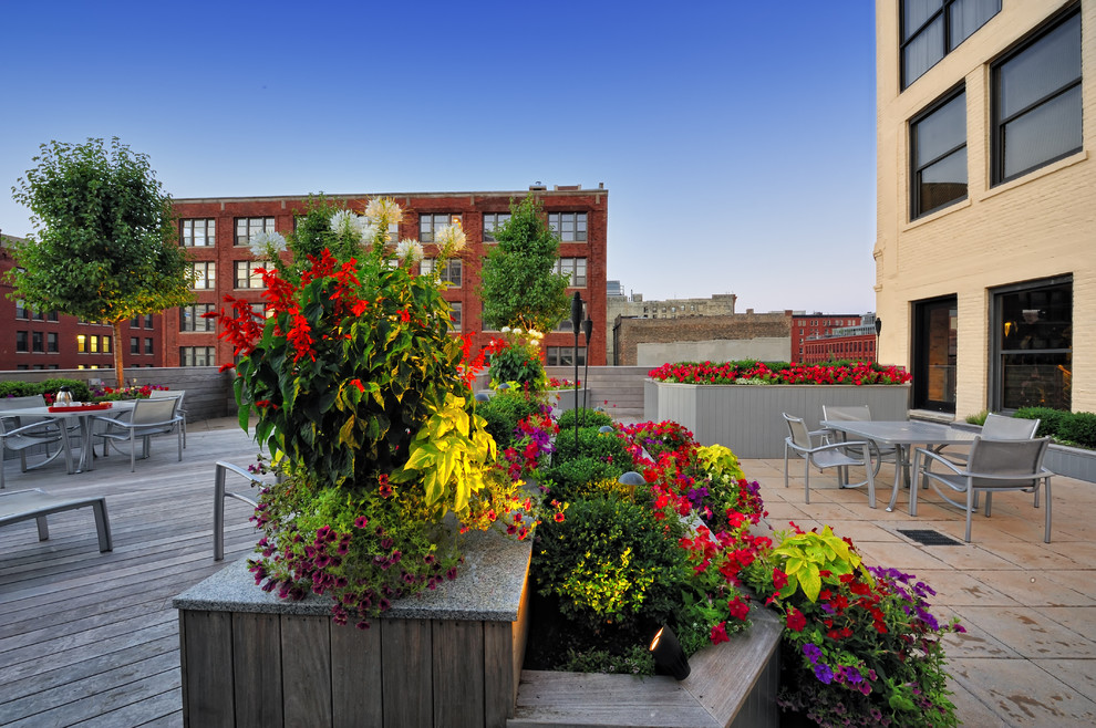 Small contemporary rooftop deck in Milwaukee with a container garden and no cover.
