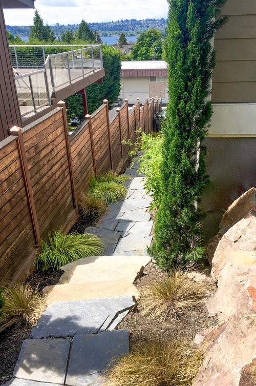 Photo of a mid-sized contemporary backyard xeriscape in Seattle.