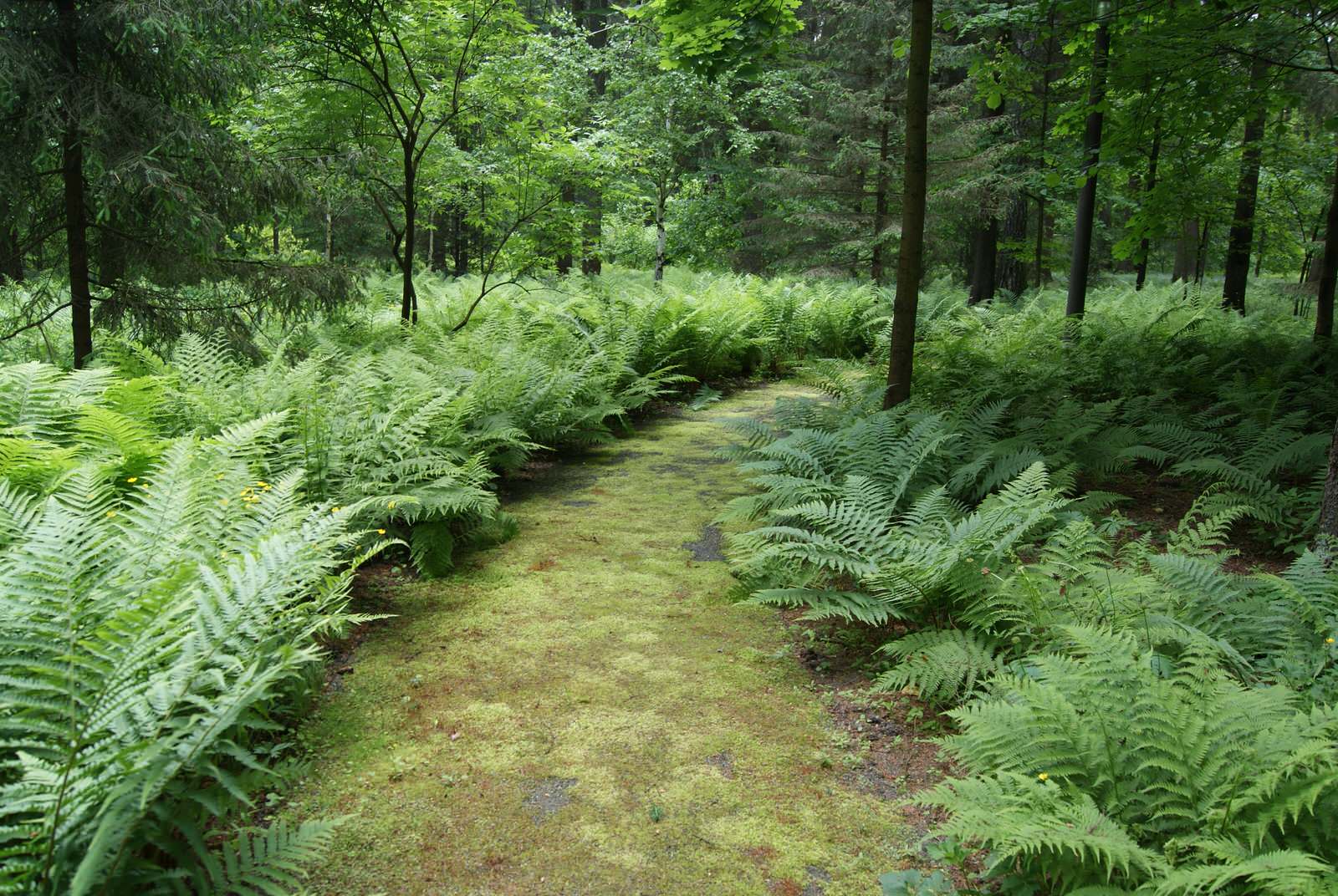 Частное землевладение "Жуковка"