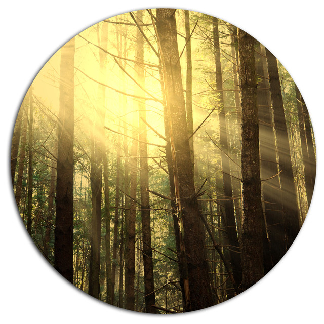 Dense Green Sunny Forest, Landscape Round Metal Wall Art - Contemporary