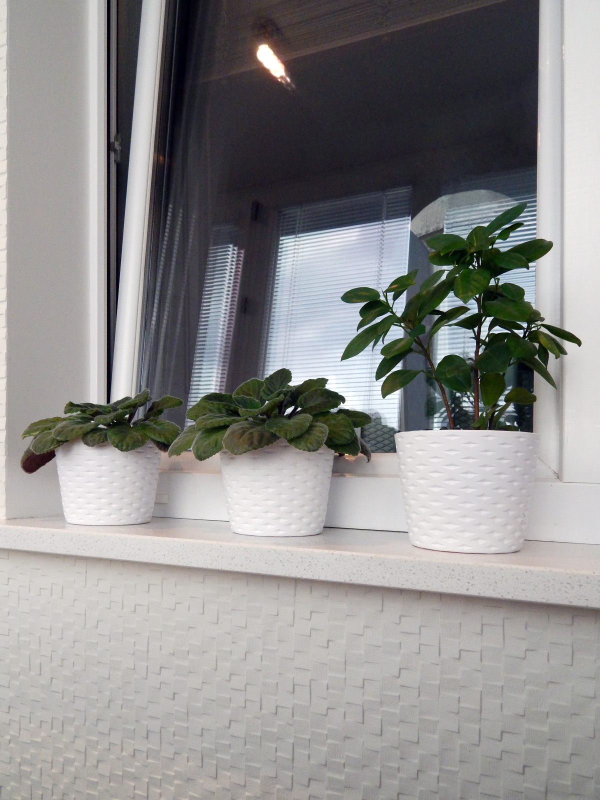 Квартира-студия