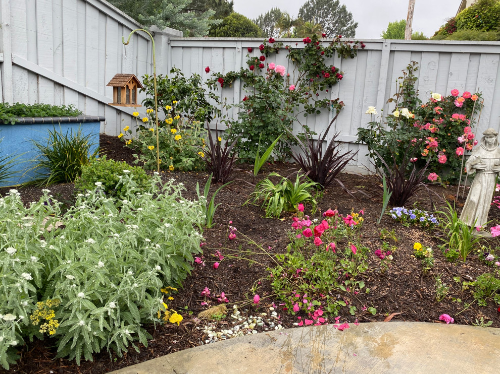 Kleiner Mediterraner Garten hinter dem Haus mit Blumenbeet und direkter Sonneneinstrahlung in San Diego