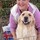 Last commented by Wendy Summerton Silveira