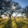 christiane_berthelot