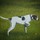 Last commented by toastyturnip_South Carolina_8a