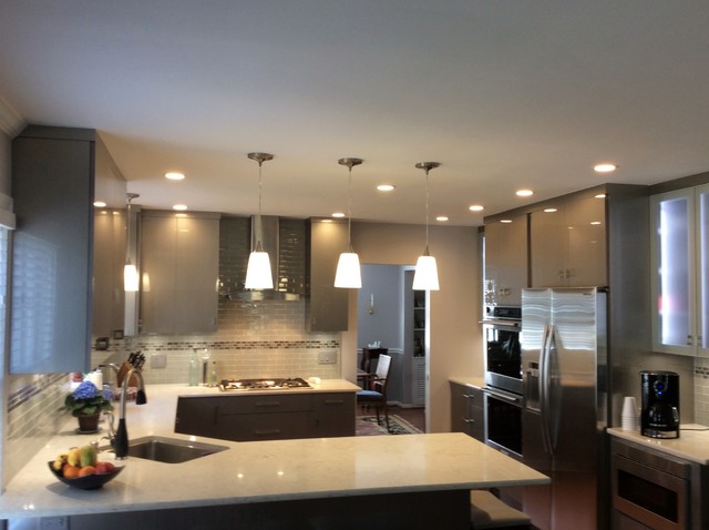 Western Springs Kitchen contemporary-kitchen