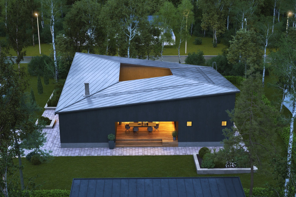 Expansive contemporary one-storey black house exterior in Dresden with wood siding, a shed roof, a metal roof and a black roof.