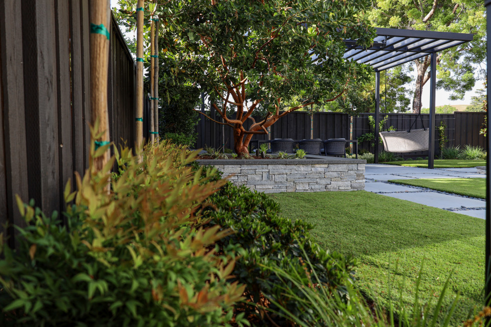 Exemple d'une terrasse avec des plantes en pots arrière moderne de taille moyenne avec des pavés en béton et une pergola.
