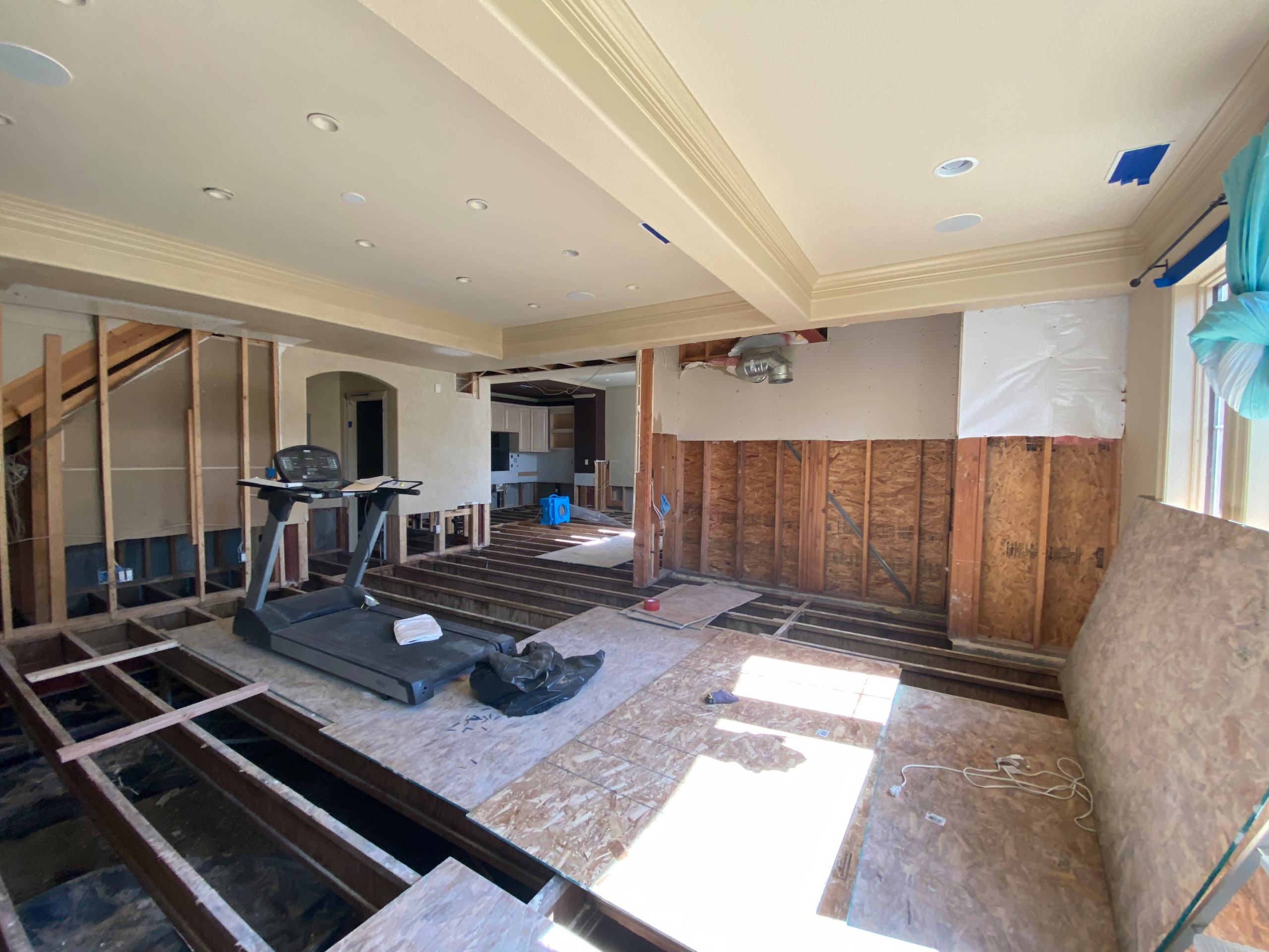 Lone Tree Restoration