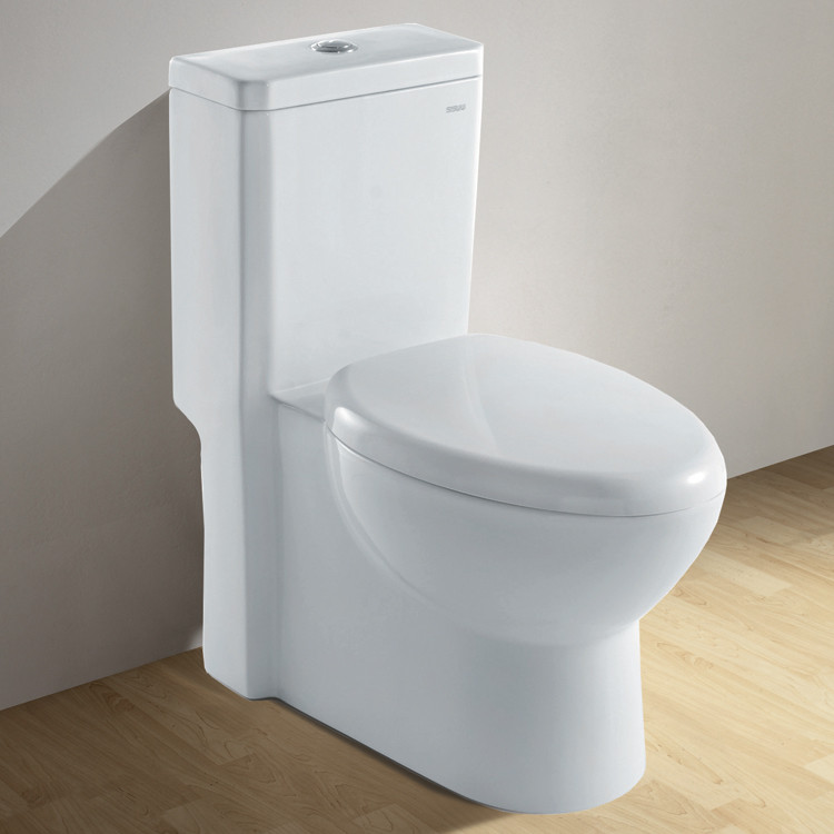 Ariel Royal CO1037 Eco Friendly Modern Dual Flush 1-Piece Elongated Toilet