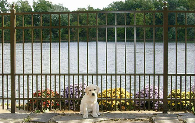 oster oatmeal conditioner