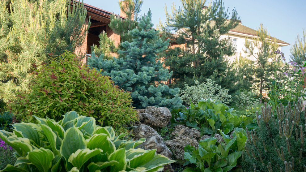 Реконструкция горки