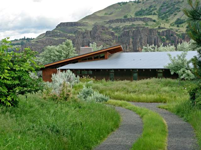 Native Landscape Restoration rustic-garden