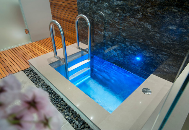 Indoor Cold Plunge Pool - Modern - Swimming Pool & Hot Tub - Vancouver ...