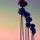 Last commented by Noir Cactus
