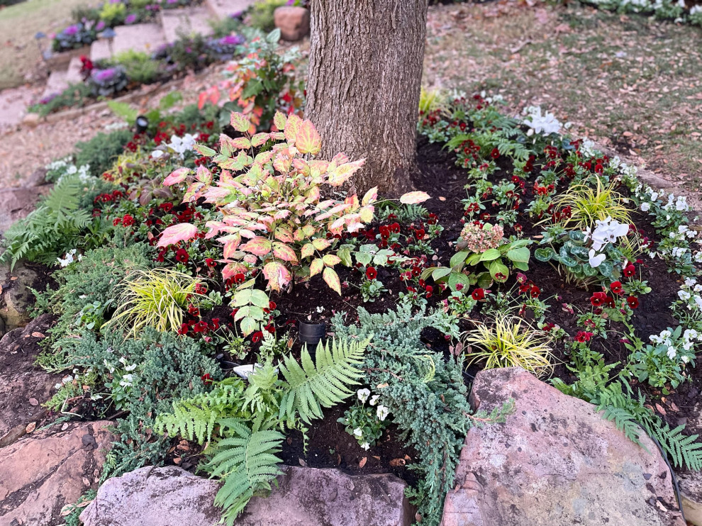 Oak Lawn Residential Landscape