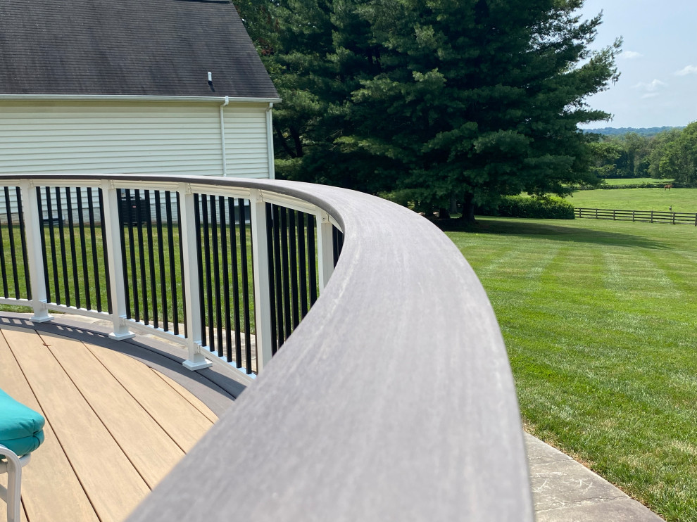 Свежая идея для дизайна: терраса на заднем дворе с металлическими перилами - отличное фото интерьера