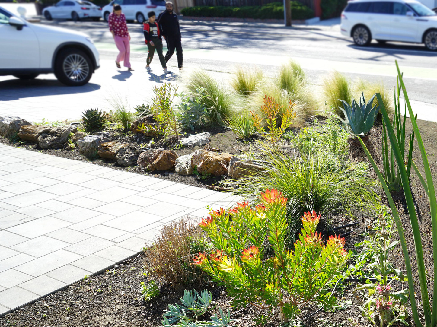"0" Maintenance Garden at Pomeroy