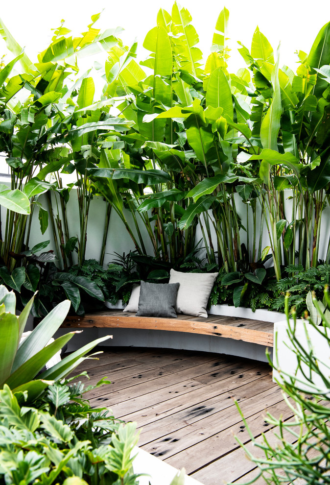 This is an example of a small tropical backyard full sun garden in Sydney with a retaining wall and decking.