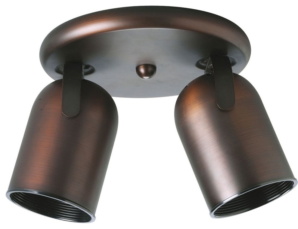 2Light Multi Directional Roundback Wall/Ceiling Fixture Contemporary