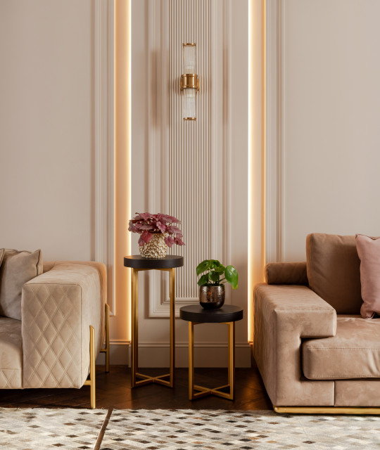 Front Reception Room trendy-dagligstue