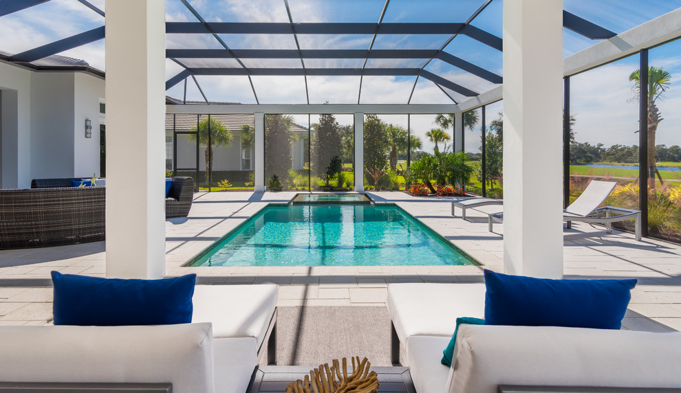 Design ideas for a transitional pool in Tampa.
