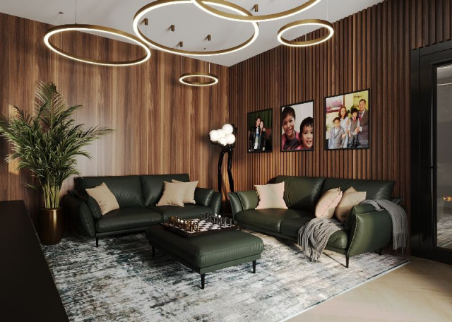 Living Room Kitchen Settings Room modern-living-room
