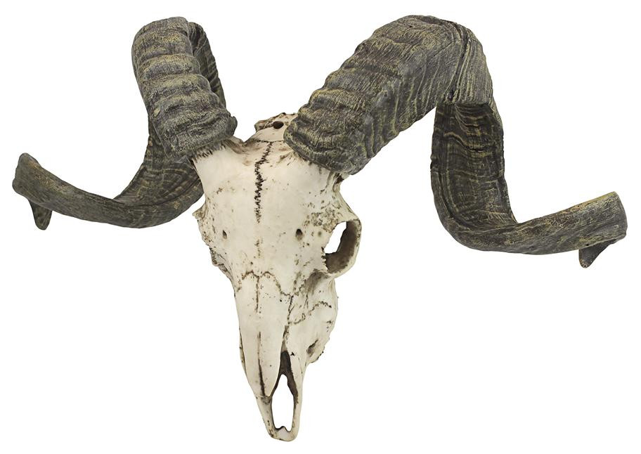 Large Ram Head Golden Antique Wall Mounted Wall Art Hanging Sculpture