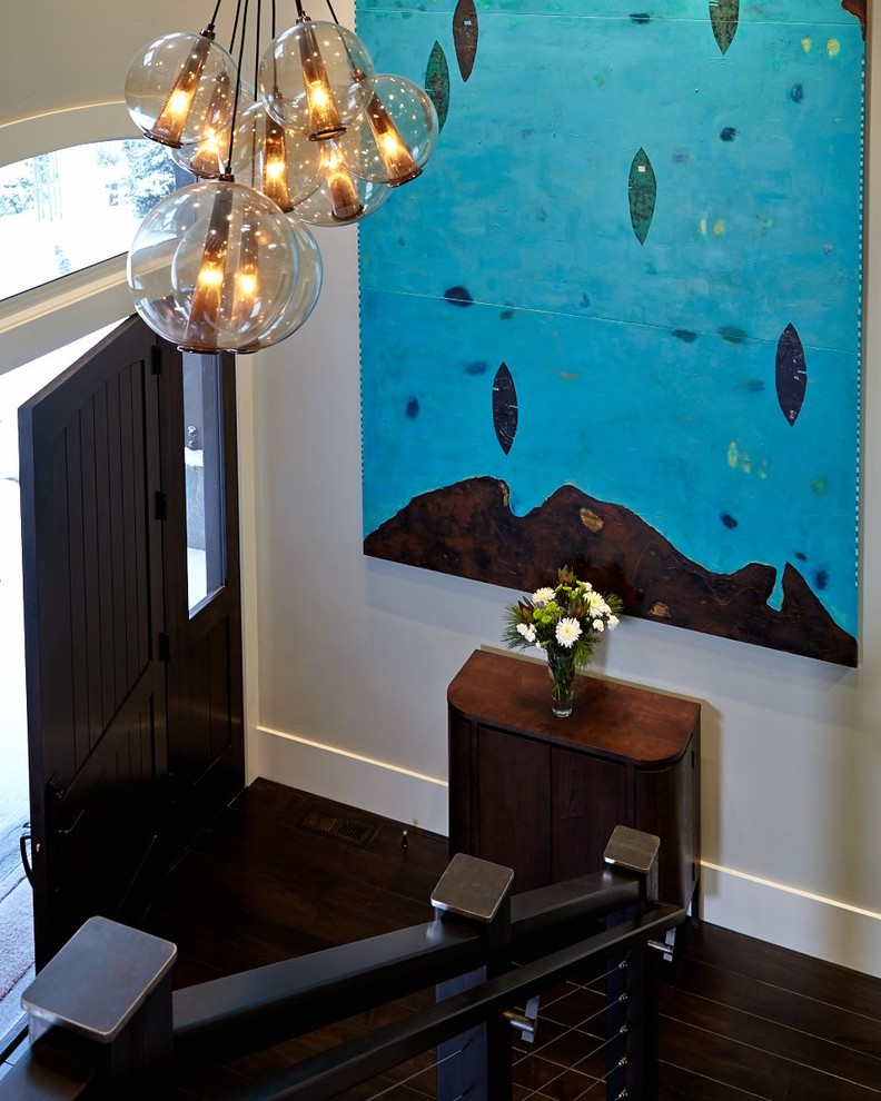 Inspiration for a large contemporary foyer in San Francisco with white walls, dark hardwood floors, a single front door and a dark wood front door.