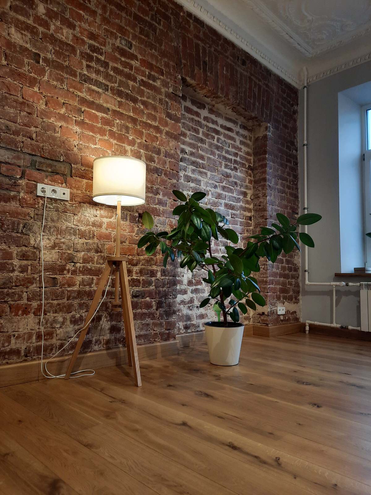 Улица Некрасова д. 1/38