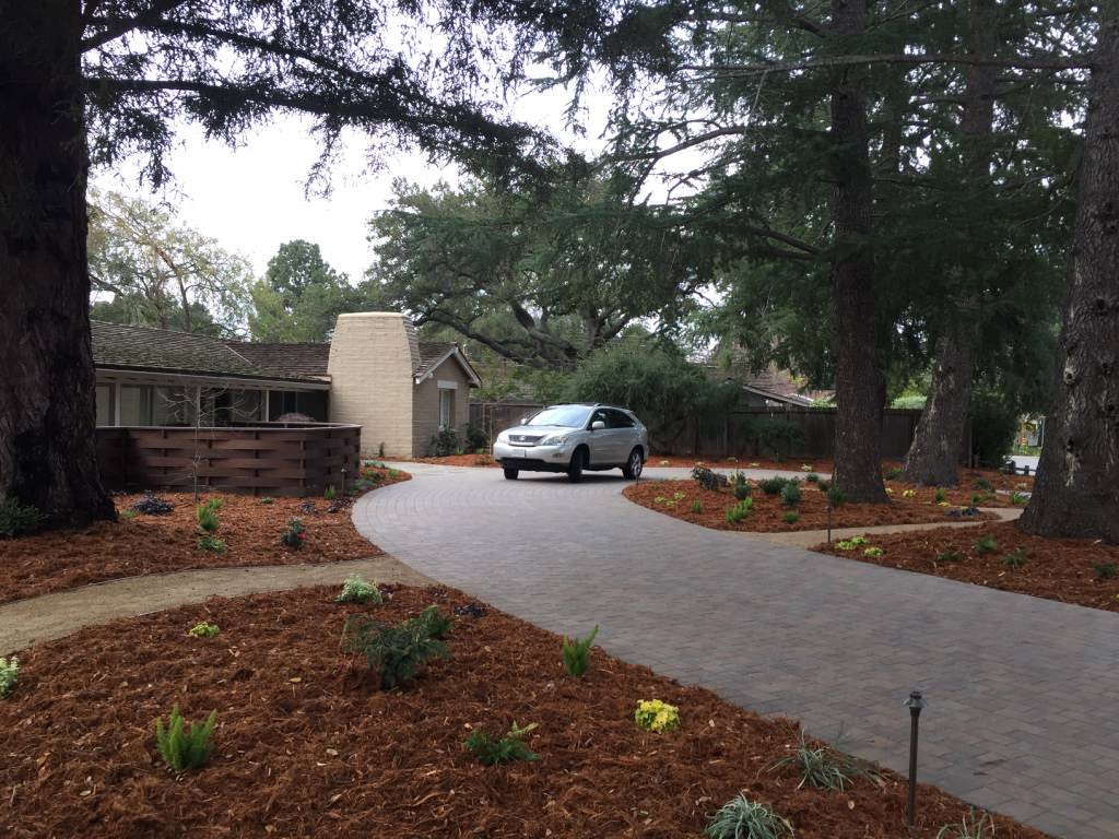 Los Altos Residence