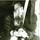 nancy_riggin