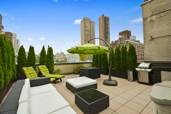Inspiration for a contemporary rooftop deck in New York with a container garden.