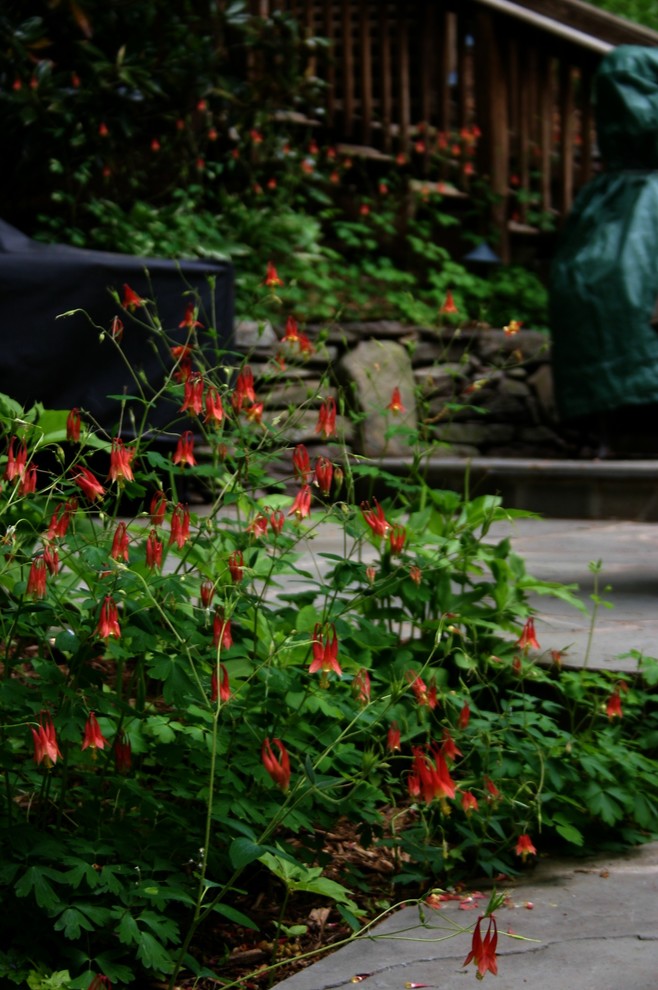 This is an example of a large rustic full sun hillside stone garden path in DC Metro for summer.