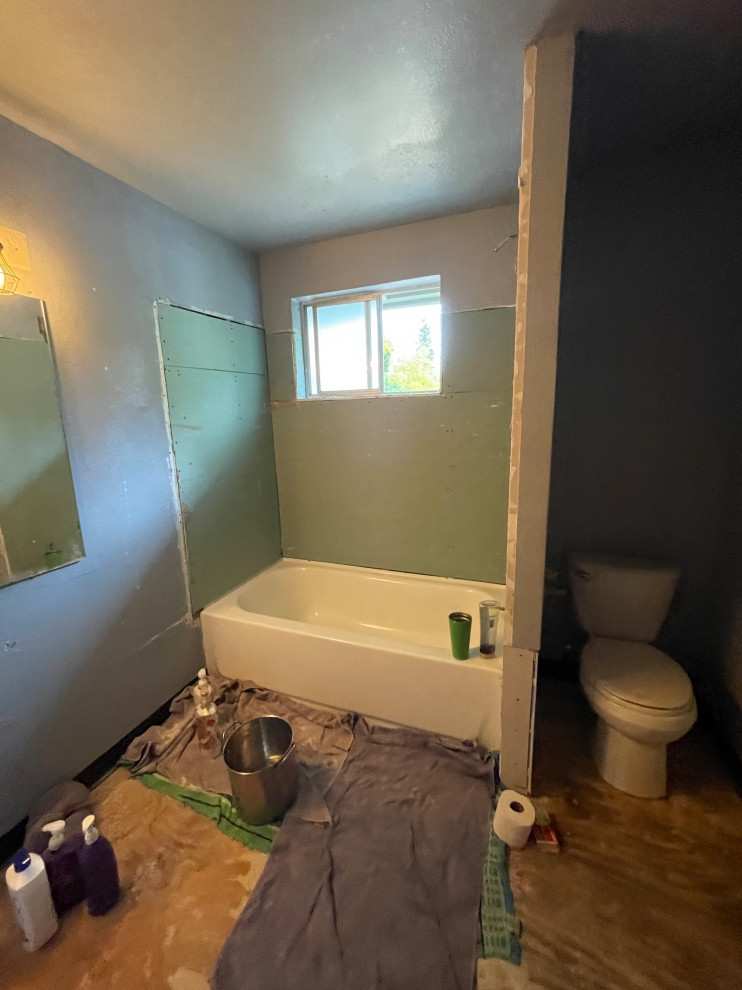Basement/Bathroom remodel pictures