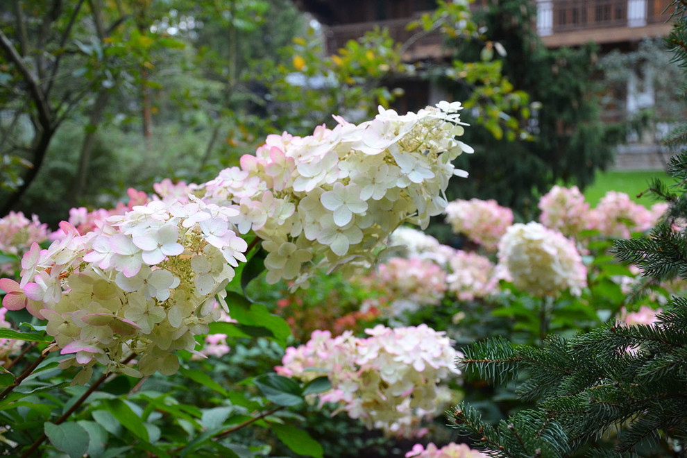 Мечта об Альпах. КП Вымпел
