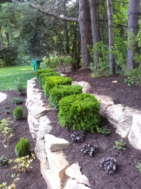 Back Yard Renovation clasico-jardin